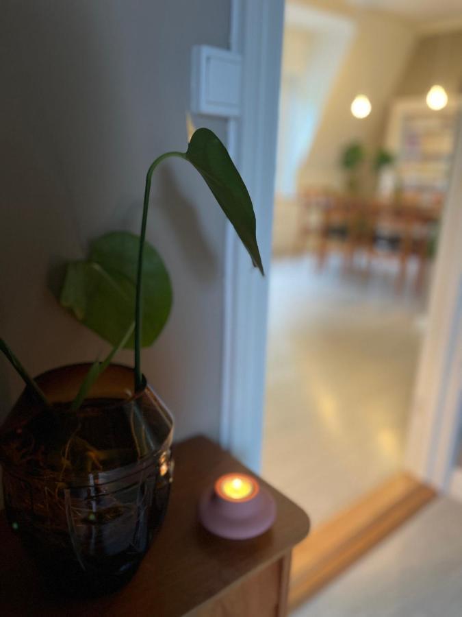 Charming Apartment In Alesund Center With Free Parking Eksteriør billede